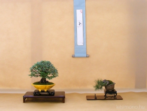 european bonsai association, exhibition, shohin display, kitsimono, eba, three point shohin display