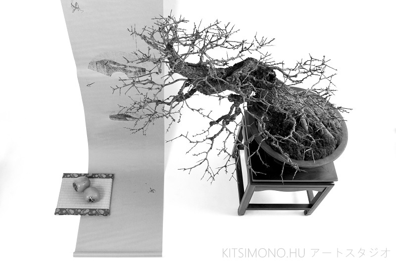 postmodern kazari with crataegus bonsai and kaki fruit on kakejiku (5)