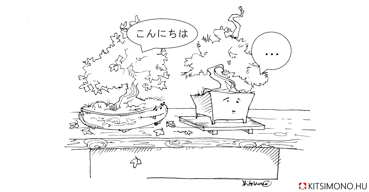 art kitsimono bonsai pot graphic draw bonsai dish (7)